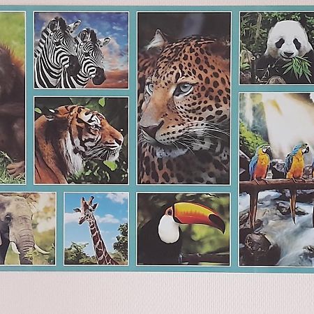 Animalier Leilighet Joigny Eksteriør bilde